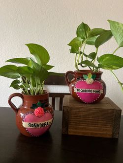 Plantas hermosas y saludable en Jarrito Mexicano $25 Cada Una