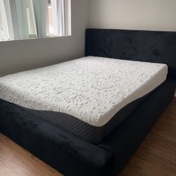 Black Velvet Queen Bed 