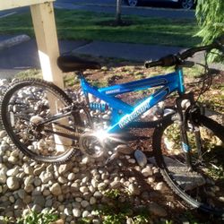Full Size Mountain Bike