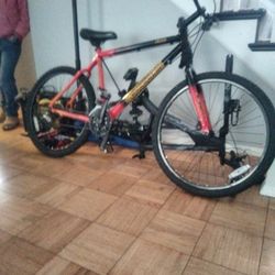 Cannondale