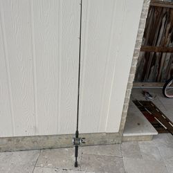 Zebco Graphite Rod With Cycloid Micromatic Reel