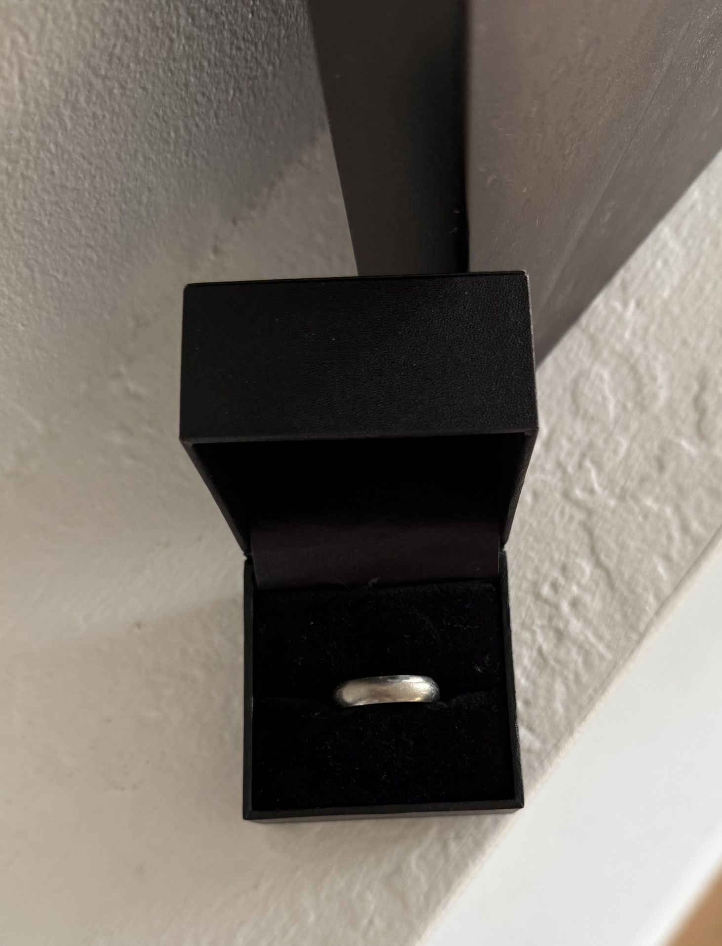 Titanium Men’s Wedding Band