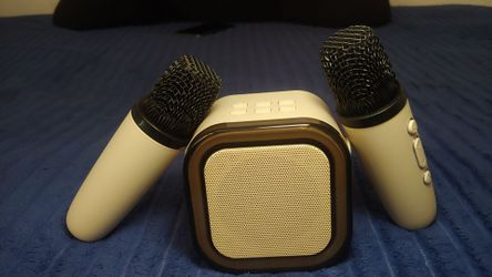 Portable Karaoke Speaker System with 2 Wireless Microphones – Bluetooth RGB