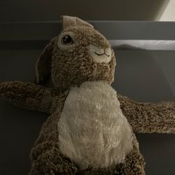 Peter rabbit plushy