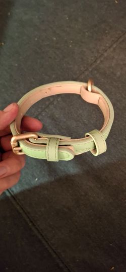 Mint Green Adjustable Dog Collar – 16 Inches – Gold-Tone Buckle