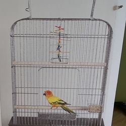New Bird Cage