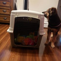 Miller pet lodge.