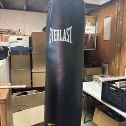 Everlast Punching Bag W/hook and Gloves Included