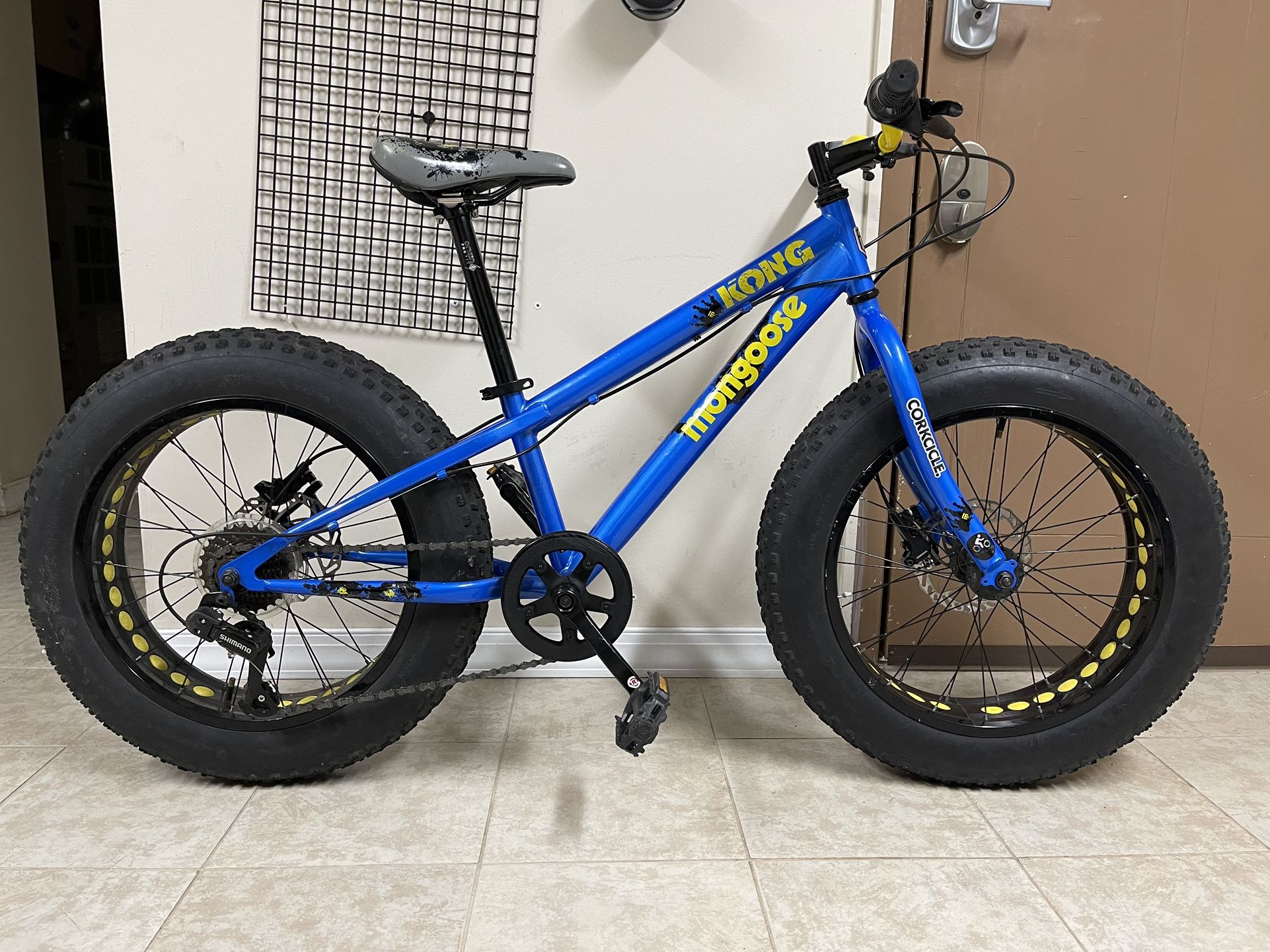 Mongoose Kong Fat Tire Mountain Bike for Kids, 20-Inch Wheels, Blue