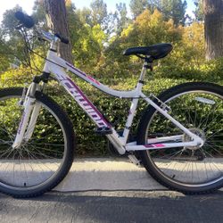 Mountain Bike ( Schwinn 26”)