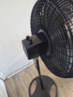 Fan ( abanico)