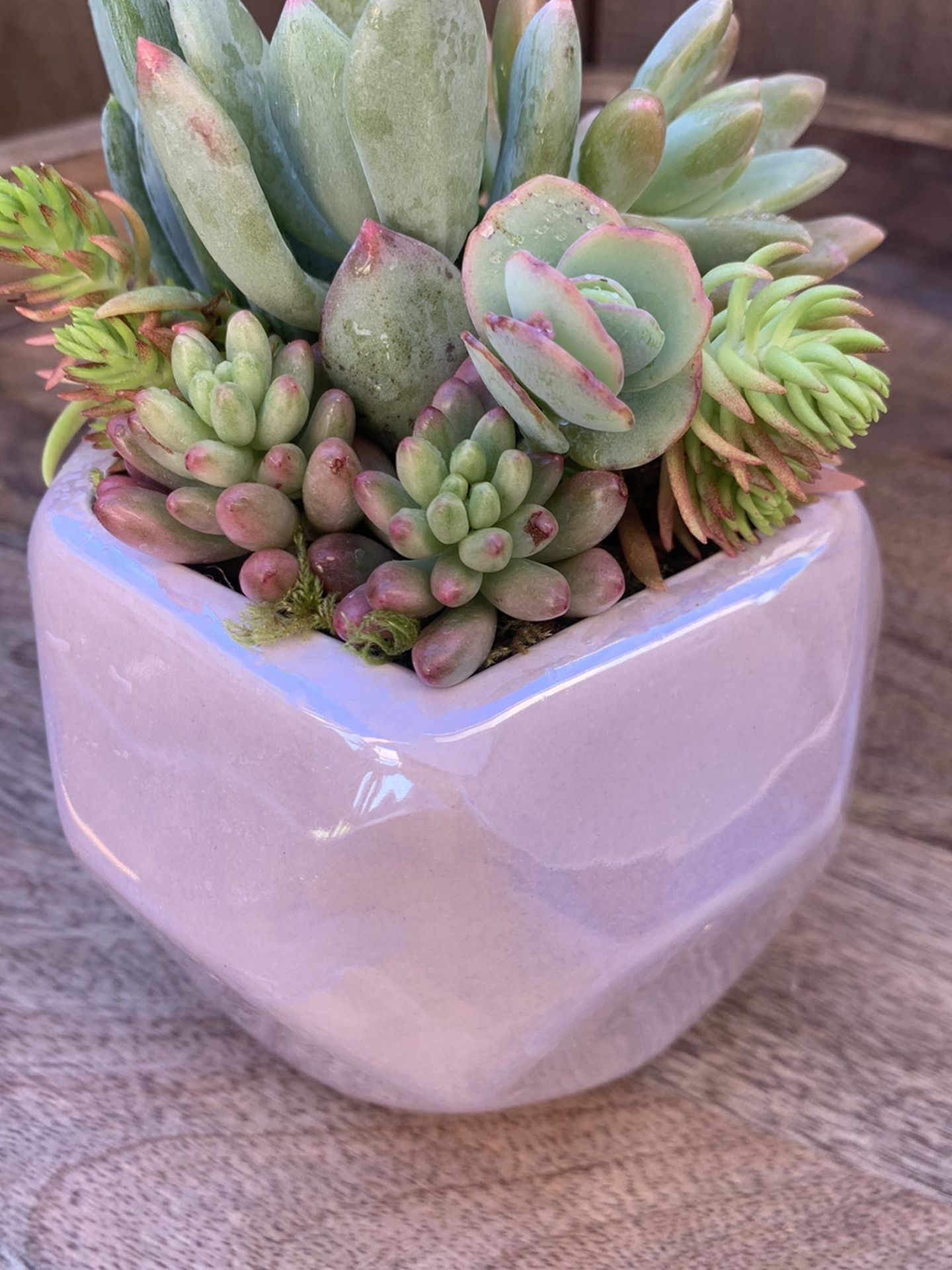 Spring Succulent Bouquets