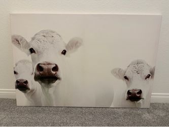 Cow Canvas Painting
