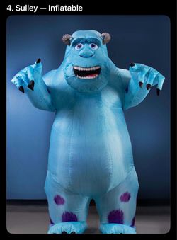 Halloween costume -Sully
