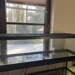 Aqueon 35 Gallon Long Aquarium Tank With Lid