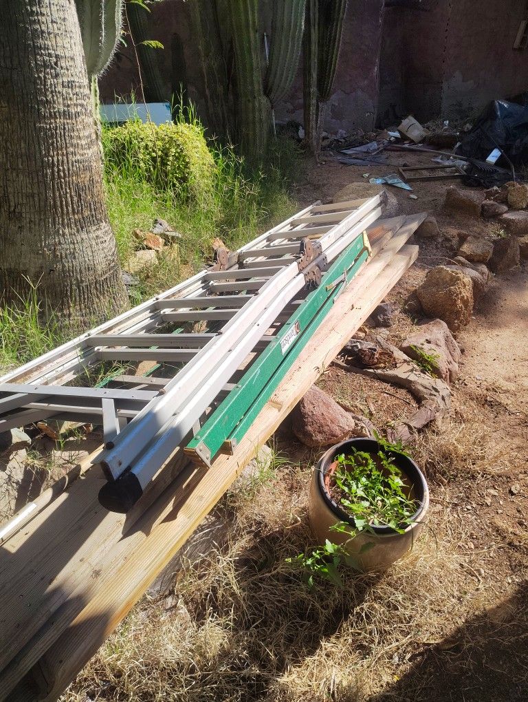 Two Ladders! 40bucks