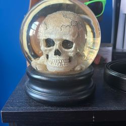 Skull Decoration 