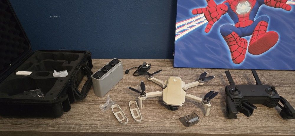 Dji Mavic Mini