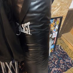 Everlast 100 Lb Boxing Bag