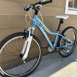 Aluminum Bike Giant Sz 24