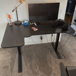 Standing Desk 