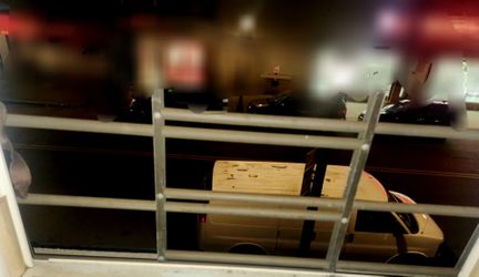 Metal window security guard