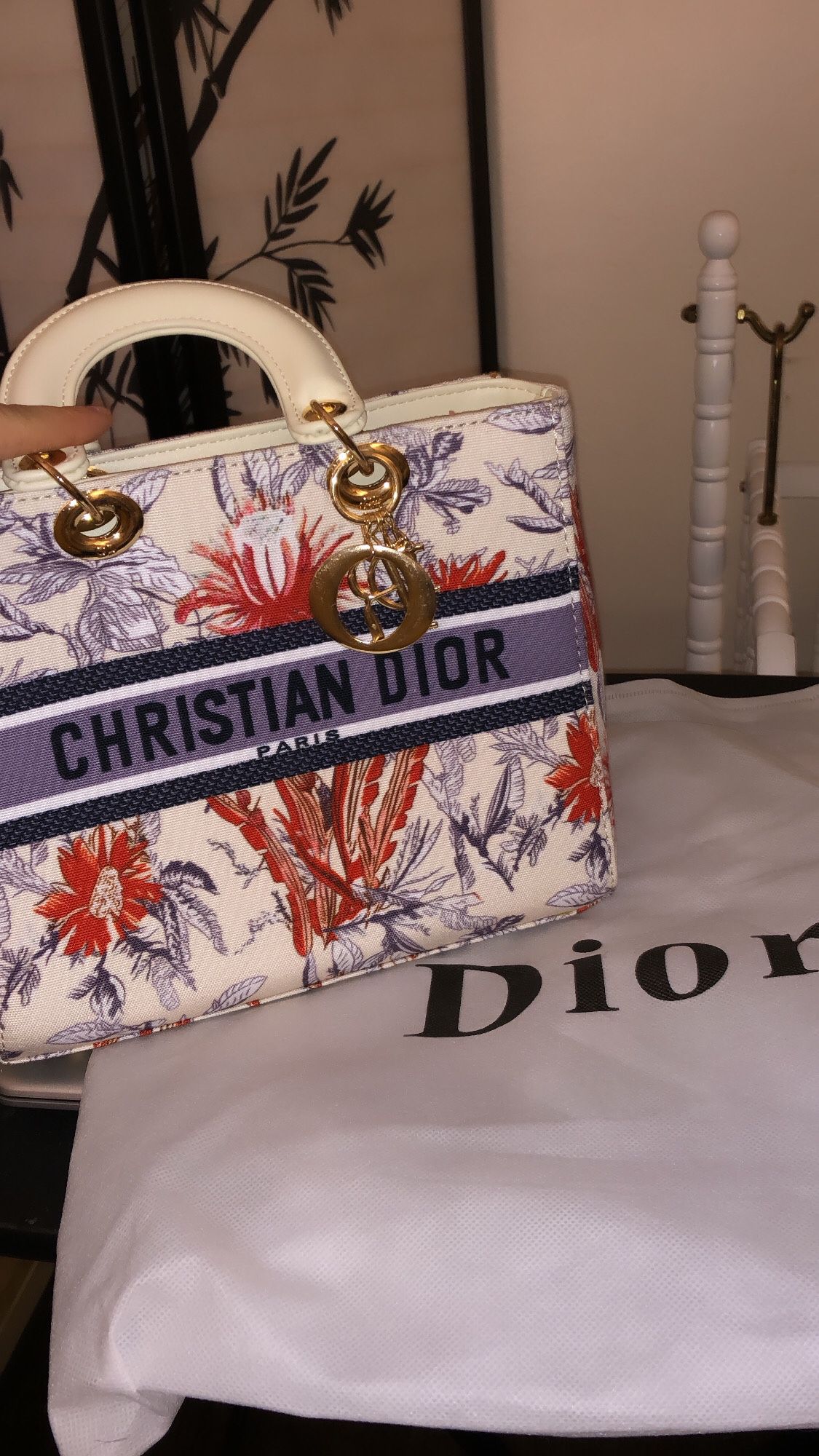 Christan Dior Hand Bag 