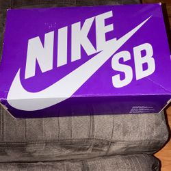 Nike SB Dunk Low Pro