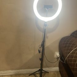 Stan Para tomarse Fotos 