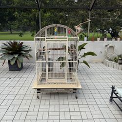 Bird Cage 