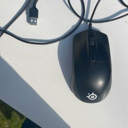 Computer Gamer Mouse