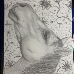 Hand Drawn Horse Portrait 