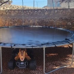 Trampoline 