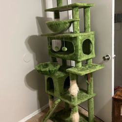 Cat Tower, And Liter Box