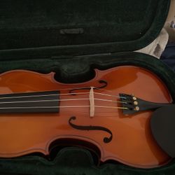 Violin: Great Quality New Student Model