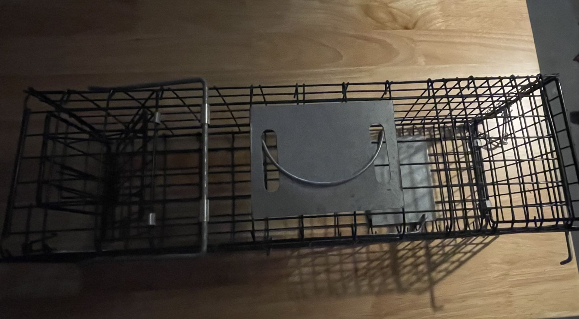 Animal Cage Trap