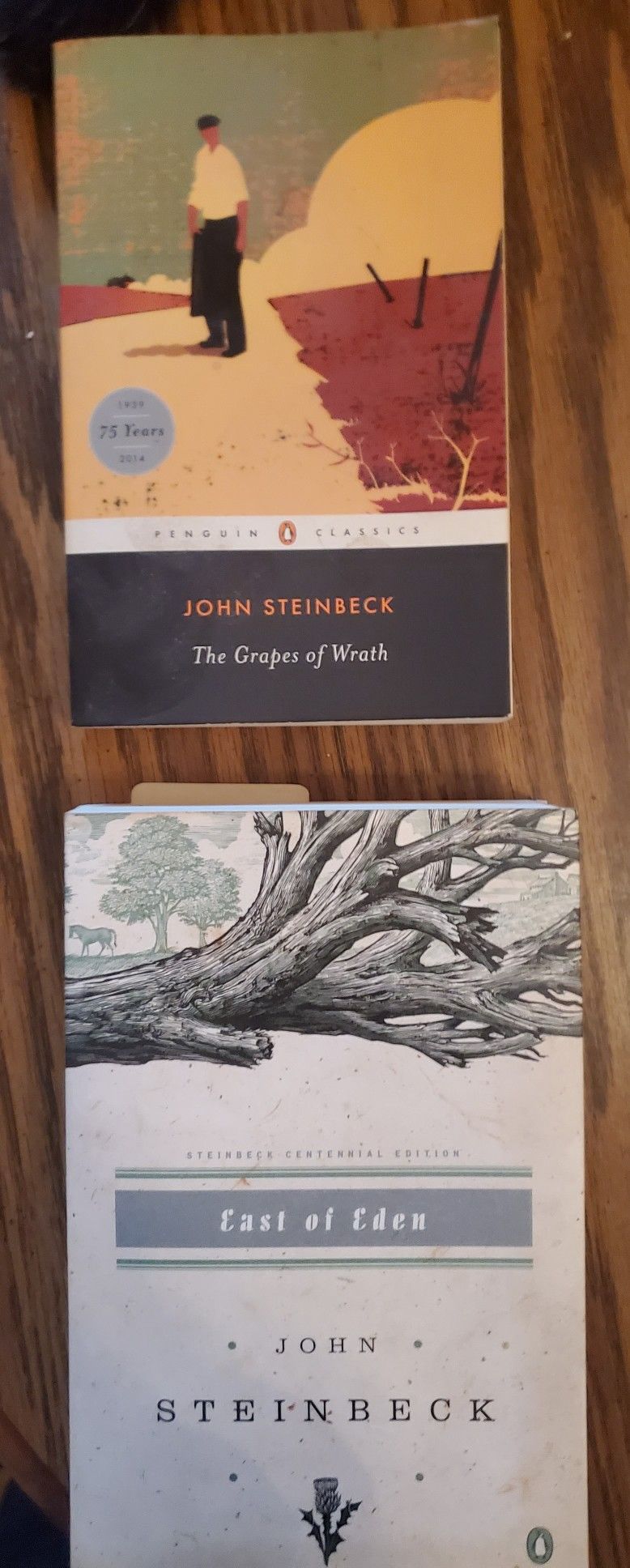 The Grapes Of Wrath, East Of Eden 2 Steinbeck Classics 