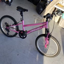 Girls Bicycle 20” Small Tear In Seat Rest Is Good