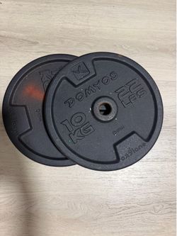 (2) 22lb Weights