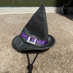 Cat / Small Dog Witch Hat 