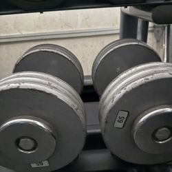 65 Ib Dumbbells 