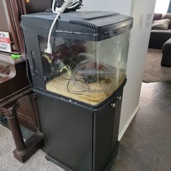 29/30 Gallon Cracked Nanocube And All In Picture