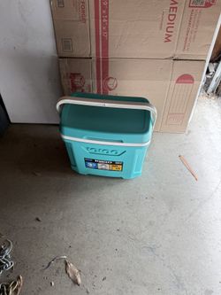 Igloo Cooler