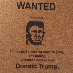 Wanted Posters, Donald T Wanted Posters, Custom Made Wanted Posters