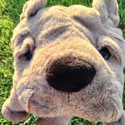 Toy Stuffed Bull Dog 