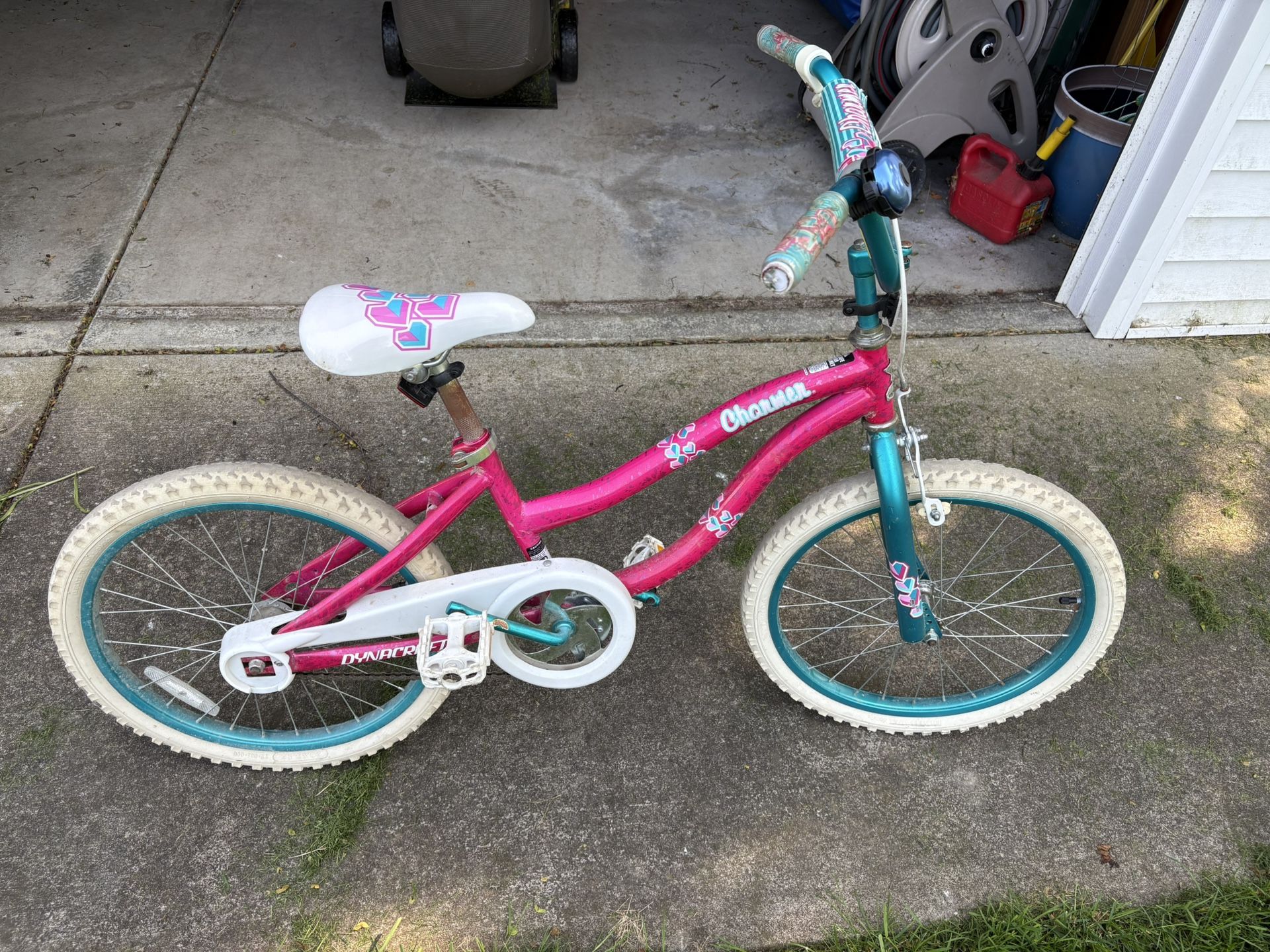 Girls Bike 20 In