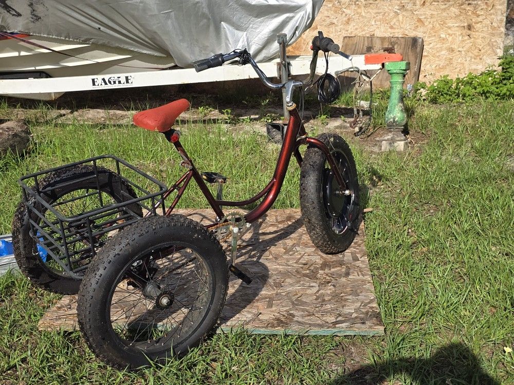 **E - BIKE ** Electric Trik...all Included