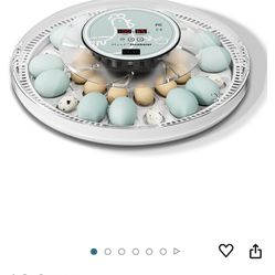 Incubator For Eggs 