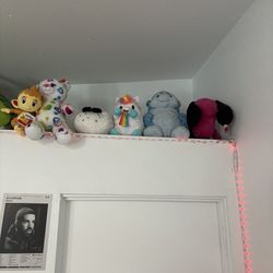 Stuffed Animals 