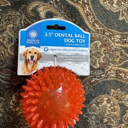 New Dog Dental Squeaky Toy 